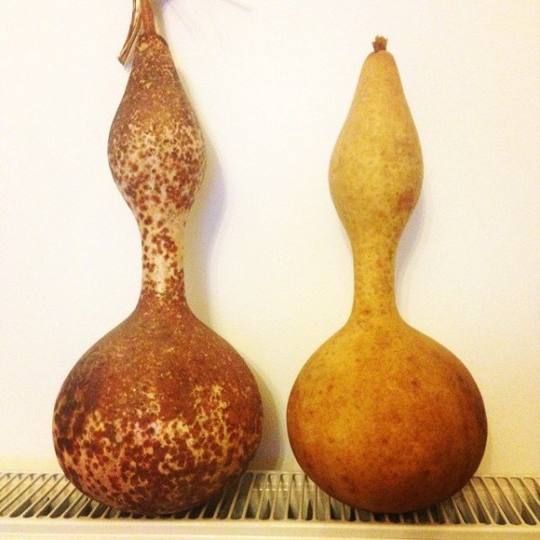 1800181_876956845671197_8327270504405371488_n